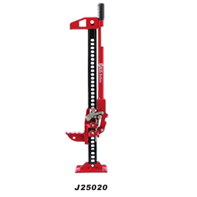 J25020
