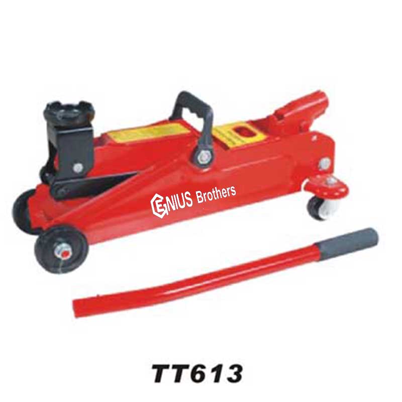 TT613