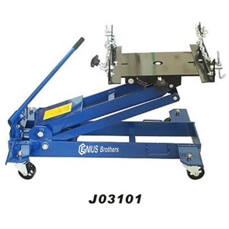 J03101